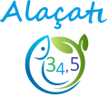 Çeşme Alaçatı Balikci